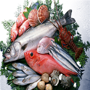 南方水產(chǎn)品加盟 把握商機(jī)，開拓水產(chǎn)品市場新藍(lán)海