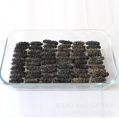 青島廠家特價批發進口野生純淡干6排刺紅參 高品質干制水產品的首選