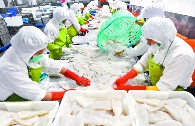 福建晉江水產(chǎn)加工出口快速增長，加工貿(mào)易成發(fā)展新引擎