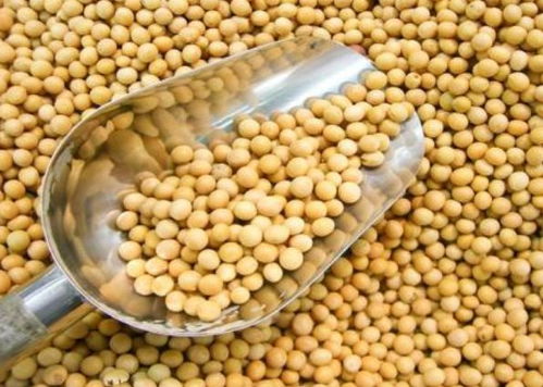 寧波進(jìn)口食品排行榜揭曉 水產(chǎn)品榮登榜首，吃貨最愛一覽