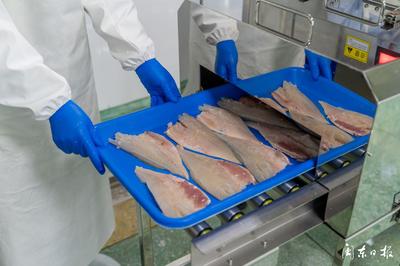 開辟“預(yù)制菜”新賽道，大黃魚游向水產(chǎn)品市場藍(lán)海
