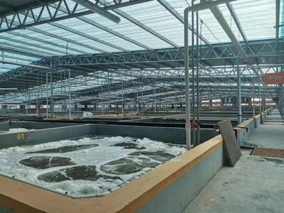 缺蝦百萬噸，產(chǎn)業(yè)迎變革 工廠化養(yǎng)蝦面積將破千萬平米，第二屆中國工廠化養(yǎng)蝦大會8月啟幕