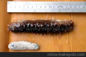 探秘滋補(bǔ)珍品 特級日本沖子參的營養(yǎng)價(jià)值與選購指南